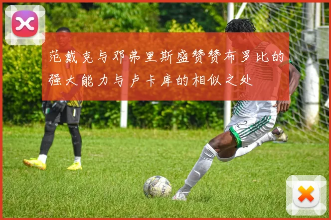 范戴克与邓弗里斯盛赞赞布罗比的强大能力与卢卡库的相似之处