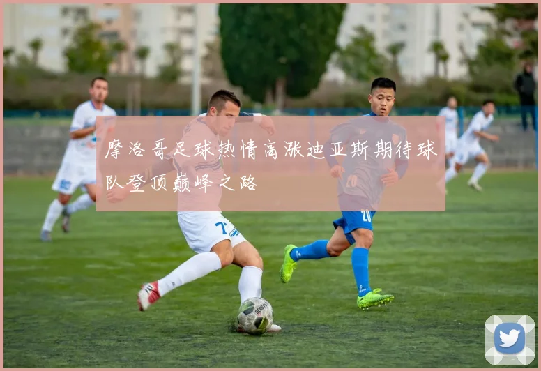 摩洛哥足球热情高涨迪亚斯期待球队登顶巅峰之路